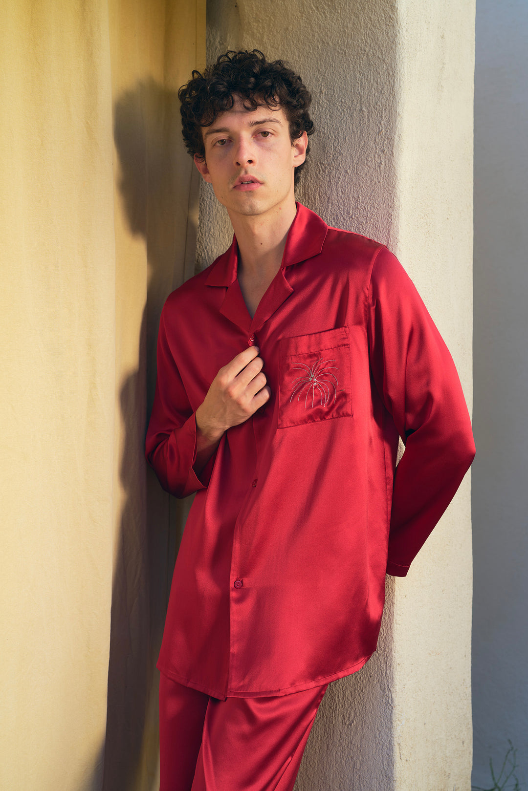 VEGA Men’s 22mm Mulberry Silk Pajama Set-Silk Pajamas Long Set-Not Just Pajama
