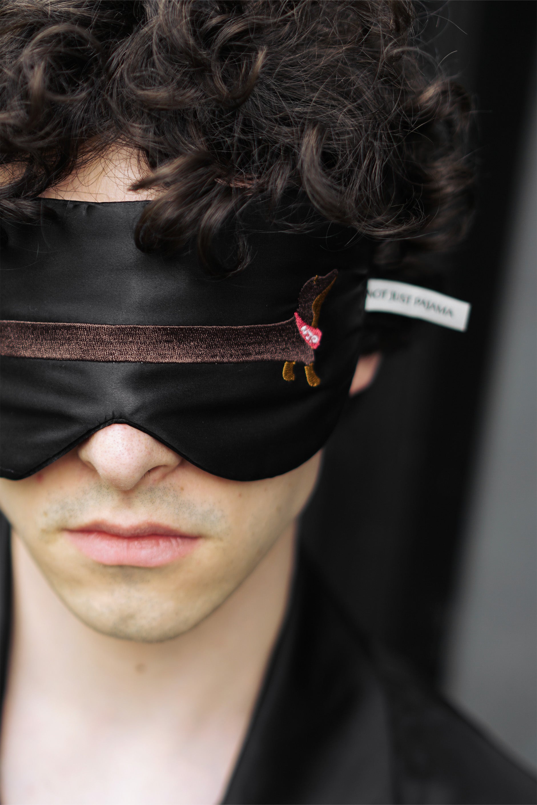Dachshund Dream Silk Sleep Mask | Mulberry Silk Eye Mask – Not