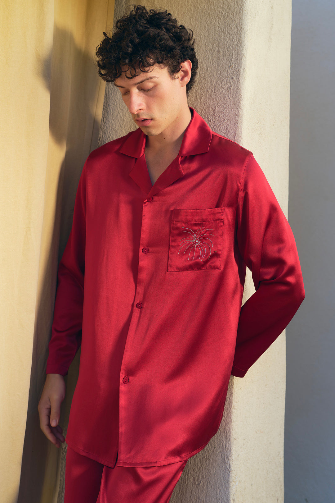 VEGA Men’s 22mm Mulberry Silk Pajama Set-Silk Pajamas Long Set-Not Just Pajama