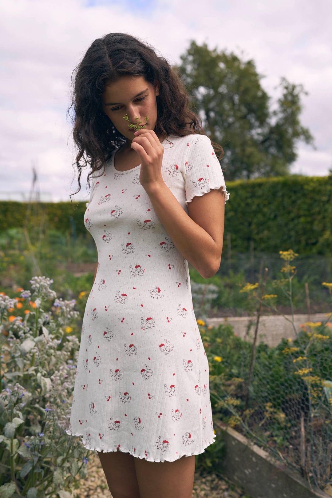 Kiki Cat Wool Silk Knit Short Sleeve Dress
